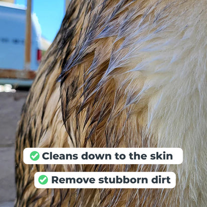 BrandName - Short main benefit sentence