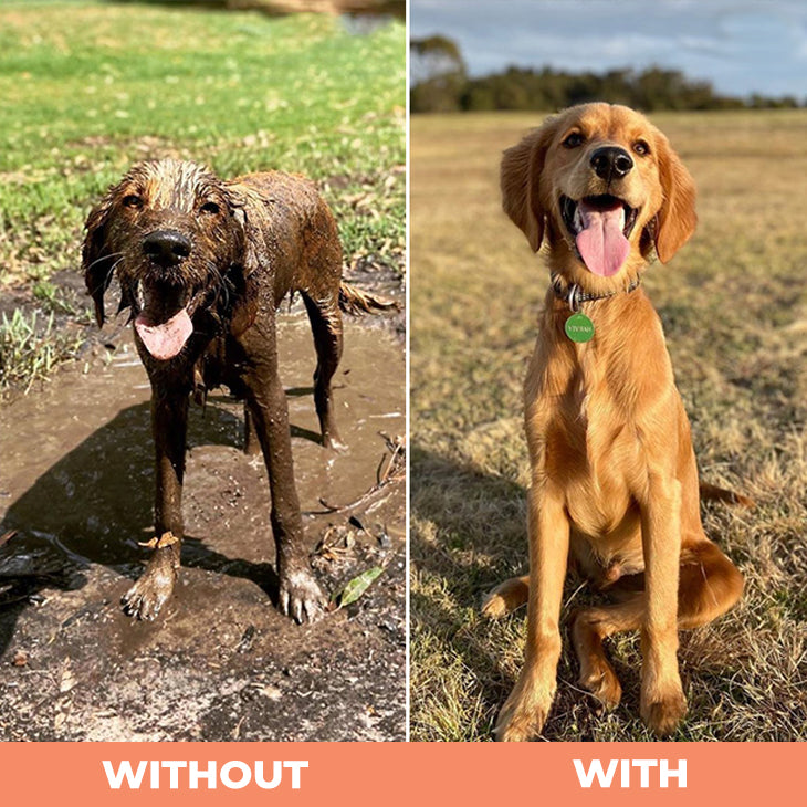 BrandName - Short main benefit sentence